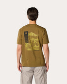 Additional photo: Eddie - Brown