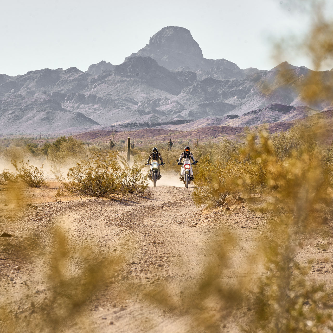 Cayenne 2 Motorcycle Trousers | Top-tier ventilation and comfort